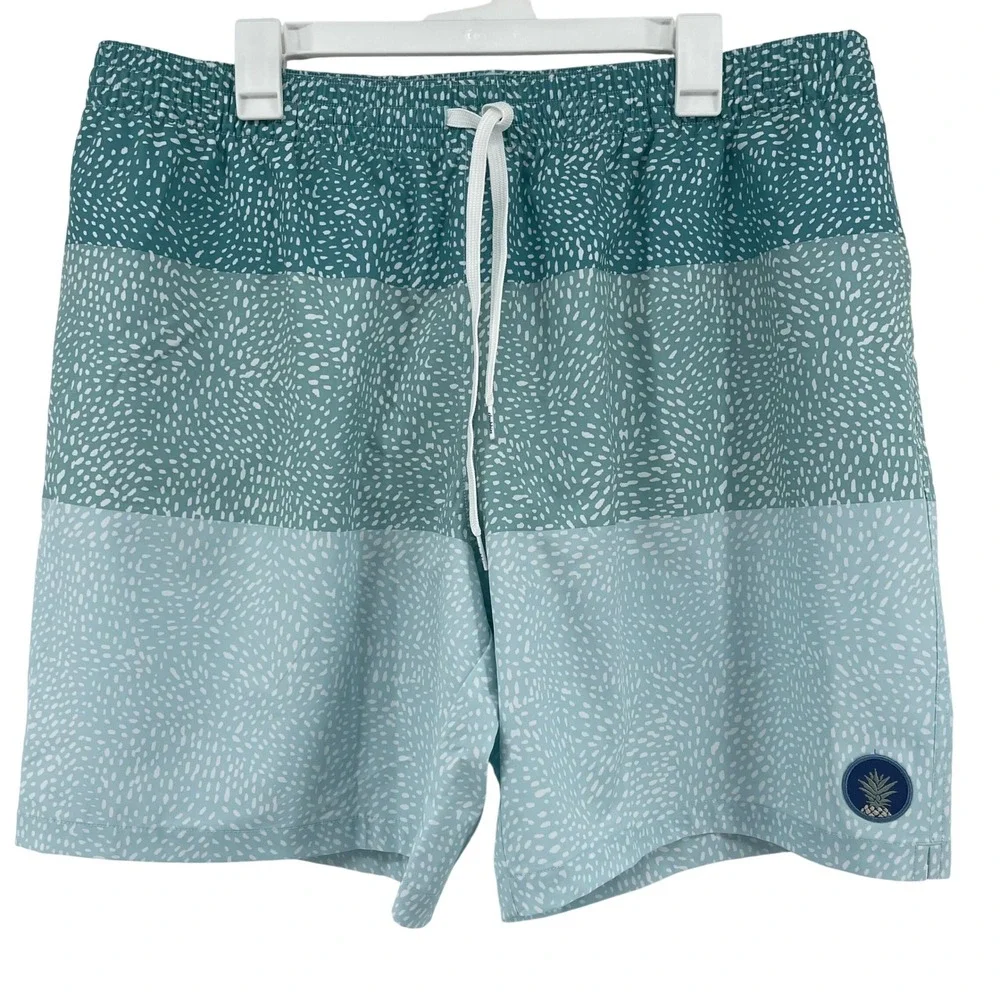 Chubbies Swim Trunks 7